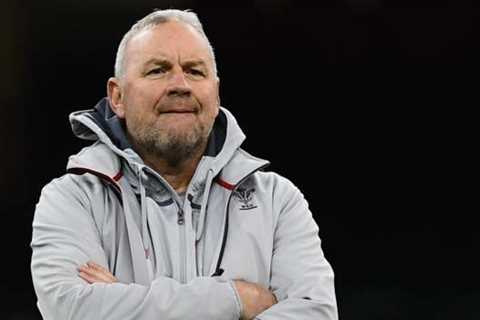 Wayne Pivac: Former Wales head coach ‘disappointed’ not to realise World Cup dream