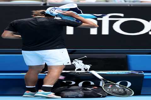 Watch Alexander Zverev get pooed on by bird during Australian Open as court erupts in laughter