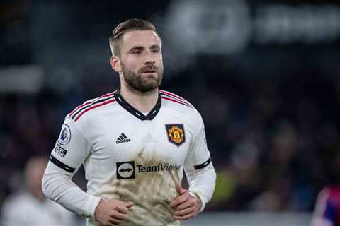 Luke Shaw has been faultless since World Cup, says Rio Ferdinand