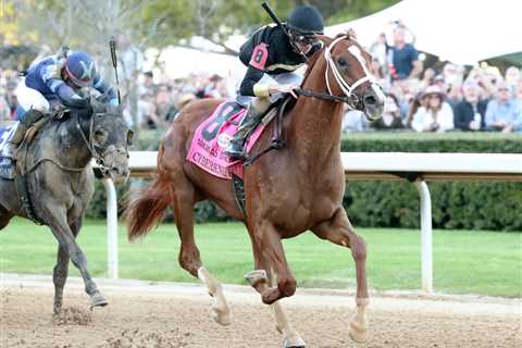 Cyberknife Named 5-2 Favorite For Career Finale In Pegasus World Cup