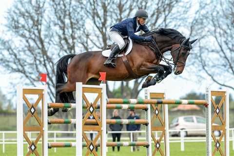 World Cup Showjumping final set to take place on Taranaki soil