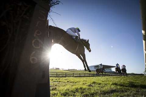 ‘The place is a bog when it’s wet’ – Three soft ground lovers at Limerick on Tuesday 🌧️