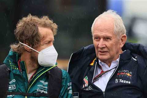 Helmut Marko questioned about a Red Bull team boss role for Sebastian Vettel : PlanetF1