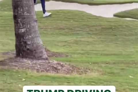 ‘When you own the course you do what you want’ – Golf fans stunned as Donald Trump ‘drives buggy on ..