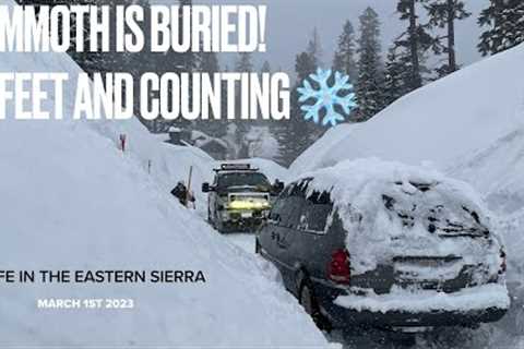 Mammoth Lakes is BURIED