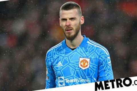 David James says Manchester United should sign Robert Sanchez if David de Gea leaves