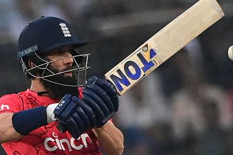 Steve Harmison predicts full international retirement for Moeen Ali after World Cup but questions..