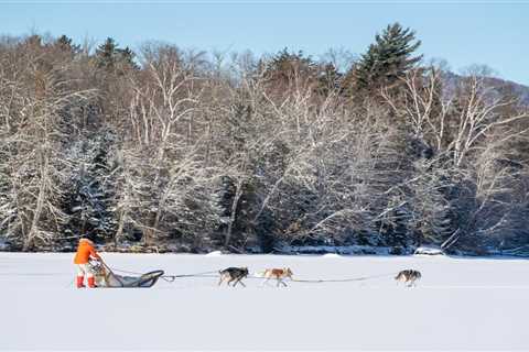 Winter Wonderlands With Dog Sledding