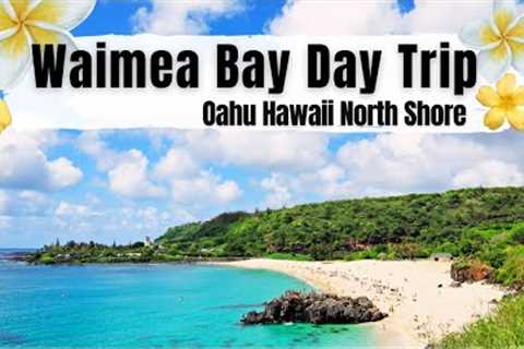WAIMEA BAY DAY TRIP ALL YOU NEED TO KNOW  | NORTH SHORE OAHU HAWAII | Family Travel