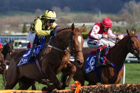 Colonel Mustard set to make hurdles switch in Morebattle