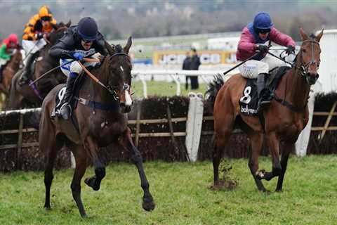 Hosie ready to Rock at Cheltenham