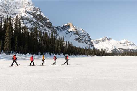 A Guide to Lake Louise in Banff National Park