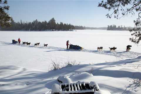 Explore Winter Wonderlands With Dog Sledding