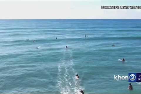 Apparent large shark swims among surfers off Ewa Beach