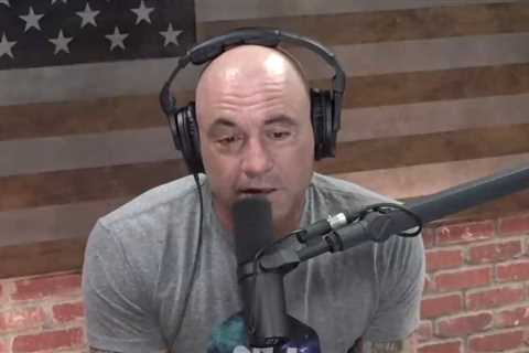 How Much Money Does UFC Pay Joe Rogan as a Salary?