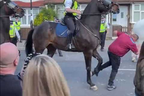 Fans all say same thing as West Ham fan is taken out by a POLICE HORSE at thrilling Crystal Palace..