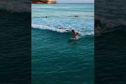 Waikiki Surf 🏄‍♀️ 🌺#waikikibeach #surf #surfing #oahu #hawaii #dji #beach #ocean #love #nature