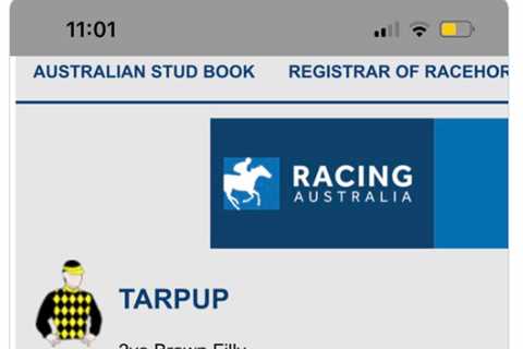 Owners forced to change racehorse’s name after looking it up on Urban Dictionary