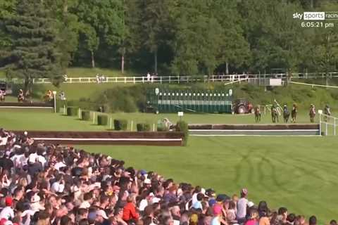 World’s longest horse race descends into total chaos and has to be STOPPED as thousands of bemused..