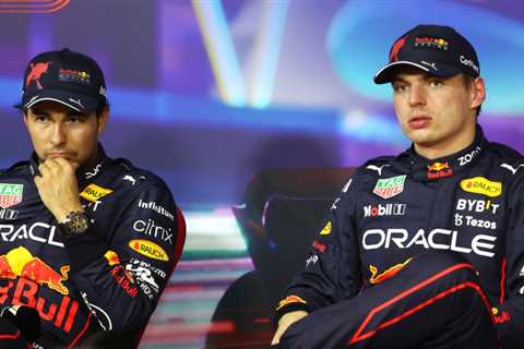 Red Bull’s Brazil team orders ‘surprised’ Verstappen – Webber