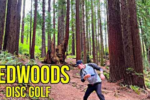 A BUCKET LIST DISC GOLF COURSE!!! (Redwood Curtain)