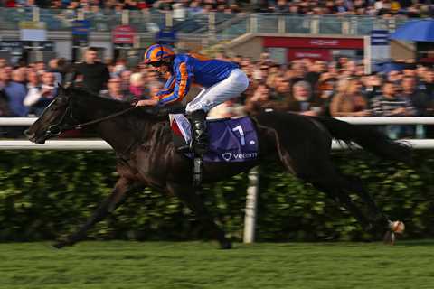 Punters think Epsom Derby favourite is a shoo-in after huge slice of luck in televised draw