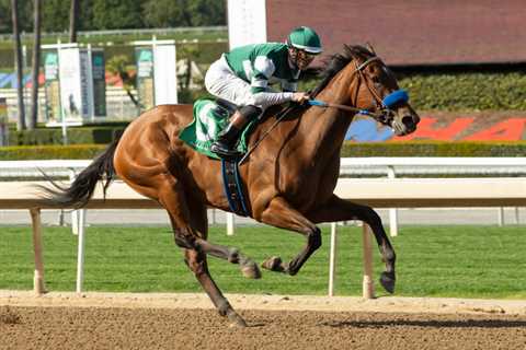 ‘Really Excited About Her’: Unbeaten Anywho Makes Belated Stakes Debut In Summertime Oaks – Horse..