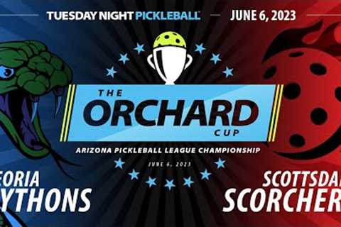 AZ PBL: CHAMPIONSHIP NIGHT - Peoria Pythons vs Scottsdale Scorchers (Tue June 6, Season 1)