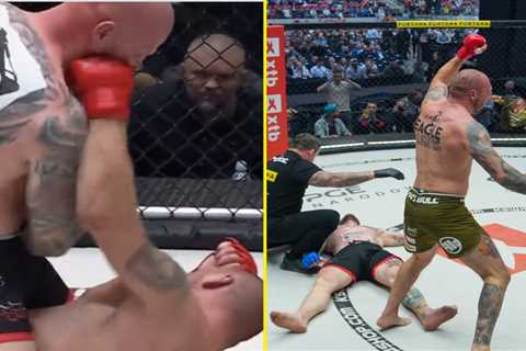 Former world champion boxer who lost title to Oleksandr Usyk pulls off insane MMA KO