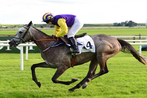 Princess Zoe – the stunning grey at centre of huge owner-trainer row – aimed at August return