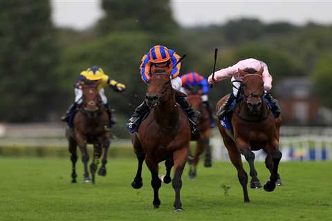 Paddington makes it six wins on the bounce with a thrilling win in Coral-Eclipse as punters hail..