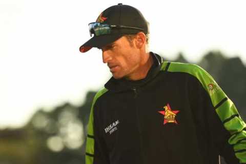 Cricket World Cup 2023: Zimbabwe revival good for country – Sean Williams