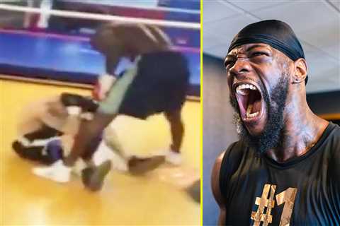 Deontay Wilder brutally battered an internet troll in a gym fight after receiving vile abuse and..