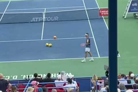 Andy Murray’s match against Taylor Fritz HALTED after protestor throws giant tennis balls onto court