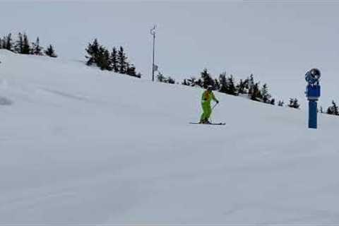 Level 1/2 Telemark - basic parallel alpine turn