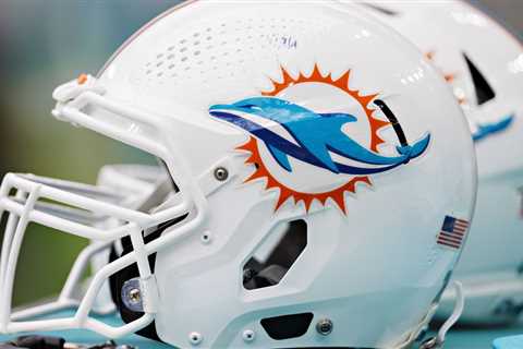 Miami Dolphins fan concerns as regular season approaches