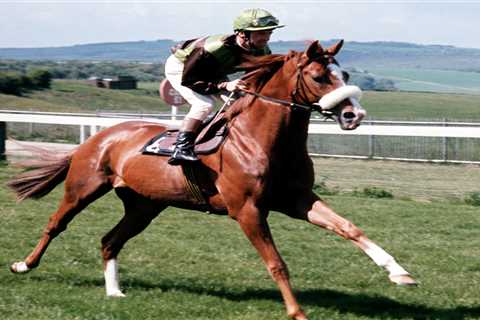 Legendary Derby-winning jockey Edward Hide dies holding the hands of his wife and daughter