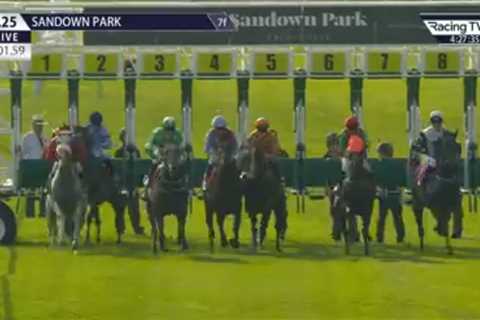 Blindfolded Horse Wins Race After 'Going Off to Catch a Bus' in Amazing Sandown Contest