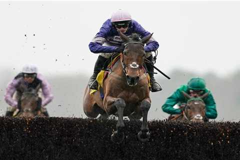 Superstar chaser Cyrname dead aged 11 as devastated punters remember heroic horse who ended..