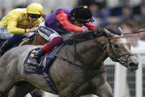 Saga can win £100,000 for The King and Queen as Ryan Moore says 14-1 Cambridgeshire handicap runner ..