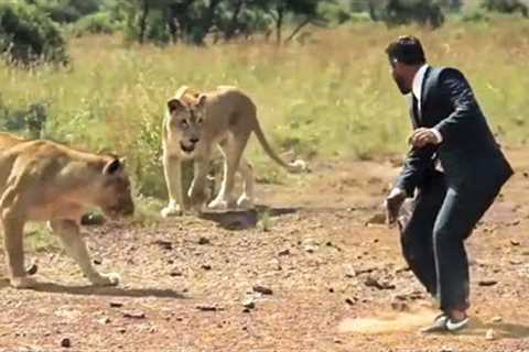 This American Tourist John Nate Was HORRIBLY MAULED by Lions!