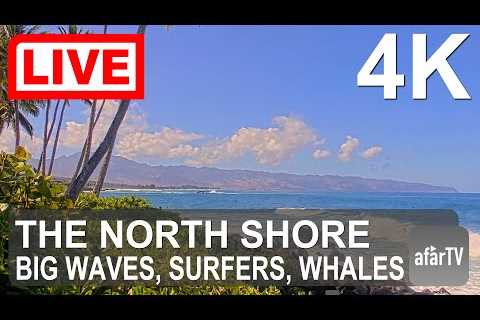 🌎 LIVE in 4K: The North Shore Beauty of Oahu, Hawaii