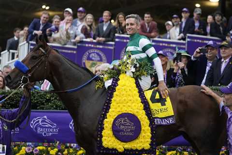 Who won Breeders’ Cup Classic 2023? Full results and finishing order for Santa Anita showpiece