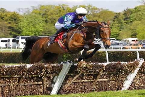 Horse racing in mourning as iconic Thyme Hill dies from gallops injury