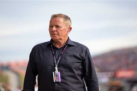 F1 Fans Applaud Martin Brundle After Confrontation with Security Guard