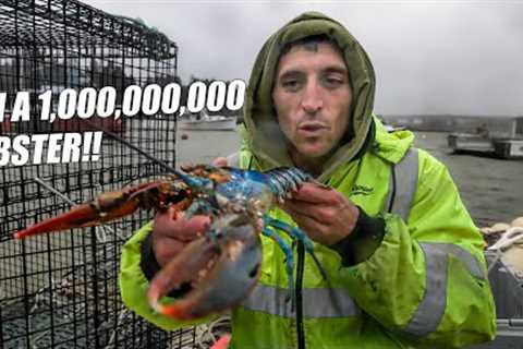 Race Against Time: Rescuing One of the Rarest Lobsters in the World  (Bowie The Lobster)