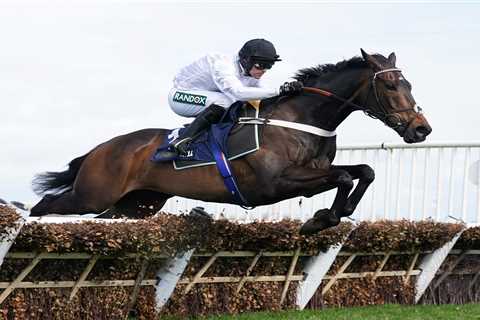 Freezing Weather Threatens Big Jumps Meetings at Newbury and Newcastle