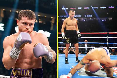 I fought Canelo Alvarez and lost by brutal stoppage, but no-one hit me harder than ‘The Demolisher’