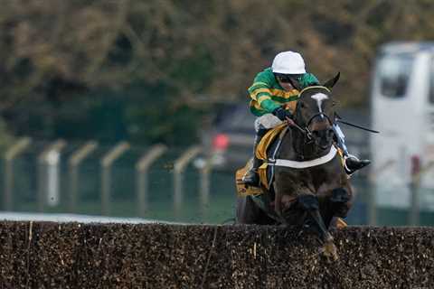 Jonbon Triumphs in Tingle Creek, Champion Chase Prospects Remain Unchanged