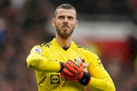 Newcastle United Urged to Secure David De Gea Amid Nick Pope’s Injury